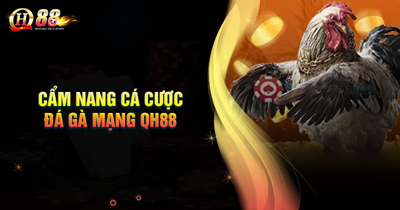 Cẩm nang cá cược đá gà mạng QH88 như cao thủ