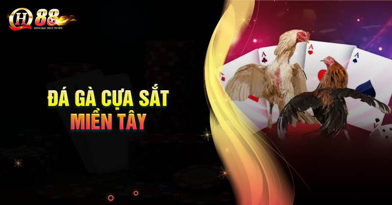 gioi-thieu-ve-da-ga-cua-sat-mien-tay