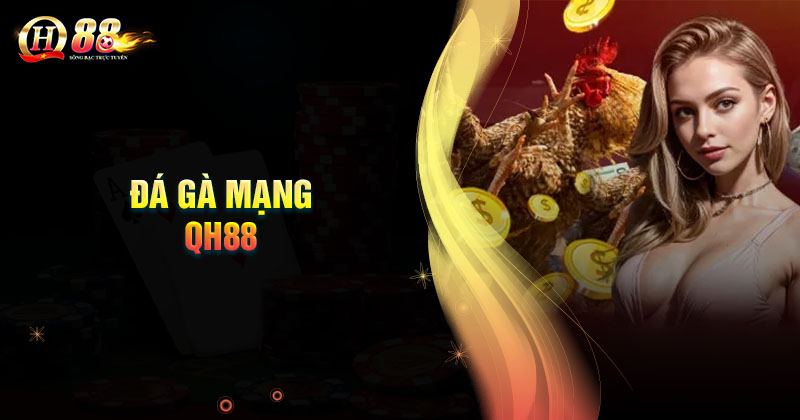 Giới thiệu về đá gà mạng nhà cái QH88