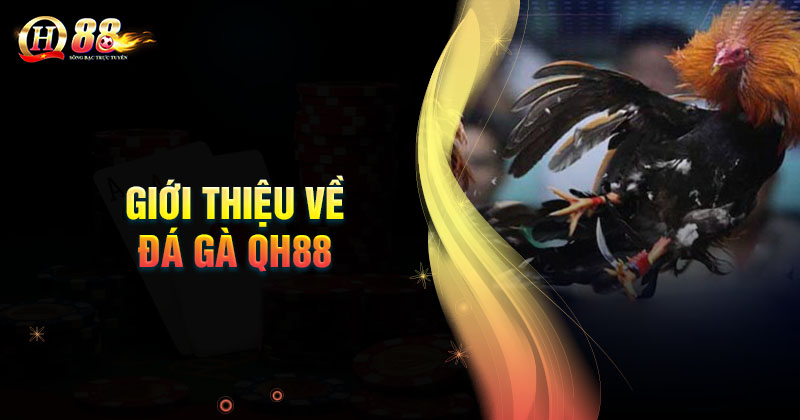 gioi-thieu-ve-san-choi-da-ga-qh88