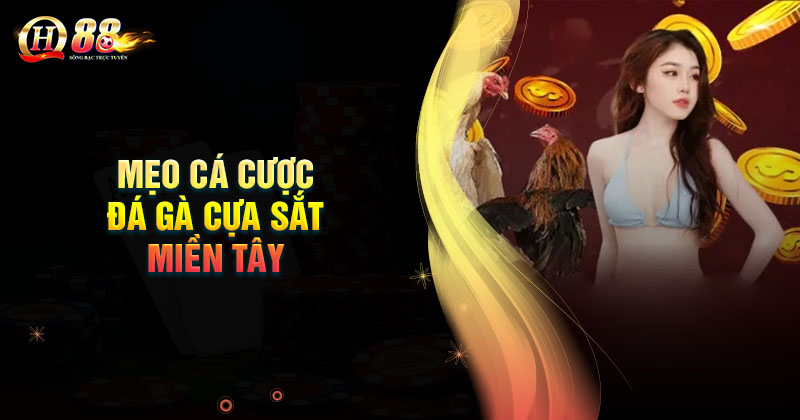 meo-ca-cuoc-da-ga-cua-sat-mien-tay-luon-thang-lon