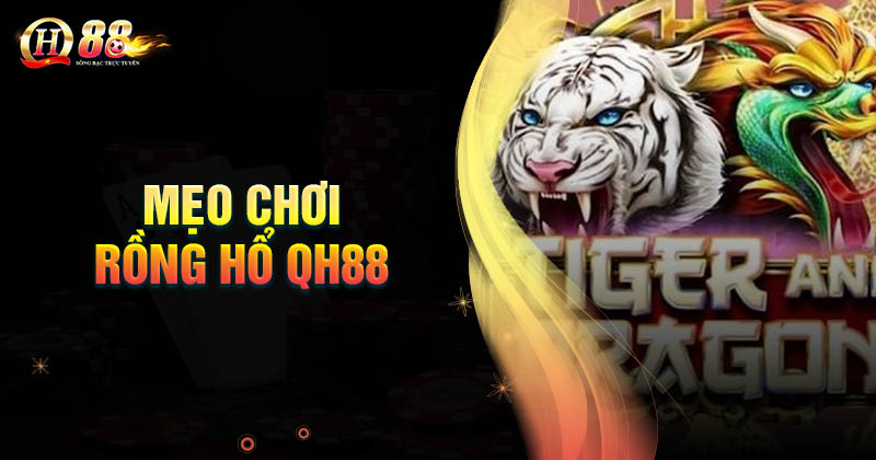 Mẹo chơi Rồng Hổ QH88 luôn thắng từ cao thủ