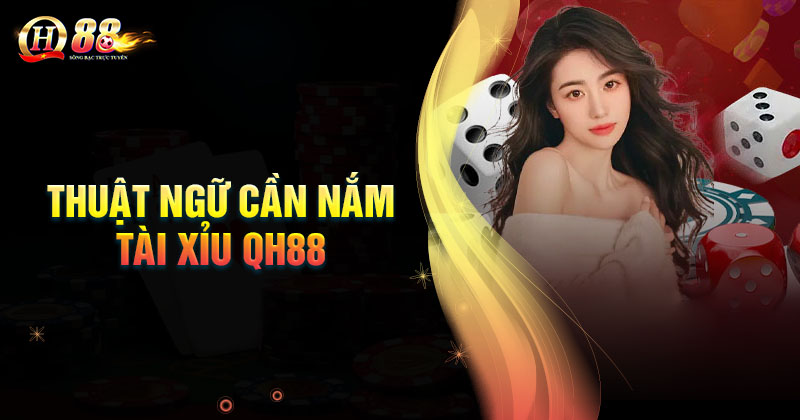 nhung-thuat-ngu-choi-tai-xiu-can-nam